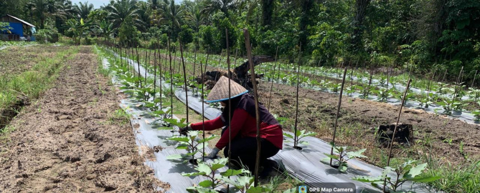 Serka Tomy Mike Melakukan Patroli dan Dampingi Petani