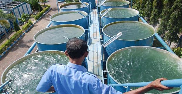 PDAM Bengkalis Terus Lakukan Upaya Peningkatan Pelayanan