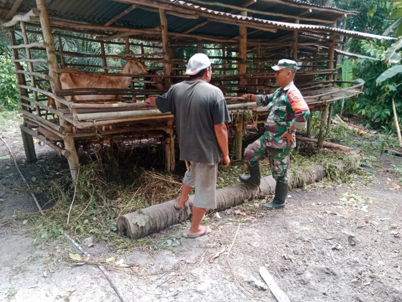 Serda Bambang Irwanto Berikan Penyuluhan Kesehatan Peternakan