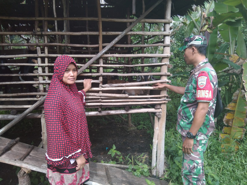 Cegah PMK, Kopda Ricko Laksanakan Patroli