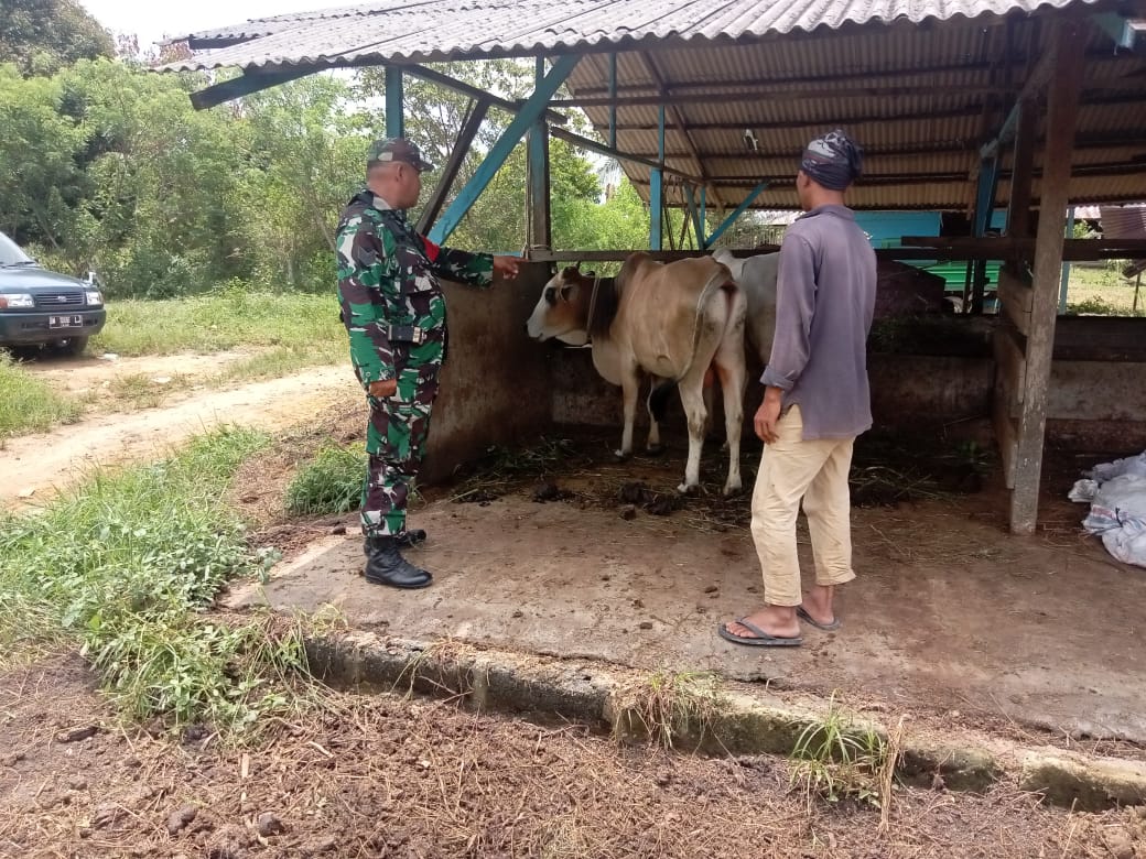 Serka Fahrizal Purba Laksanakan Giat Pencegahan PMK