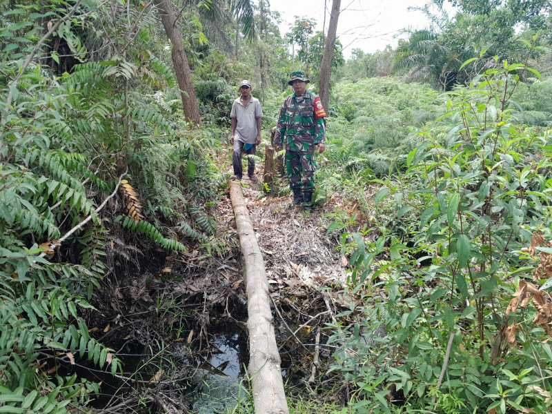 Serda Cerzakatno Melakukan Patroli Cegah Karhutla