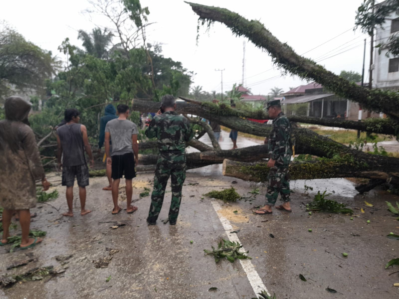 Babinsa Bantu Masyarakat Untuk Memindahkan Pohon Tumbang