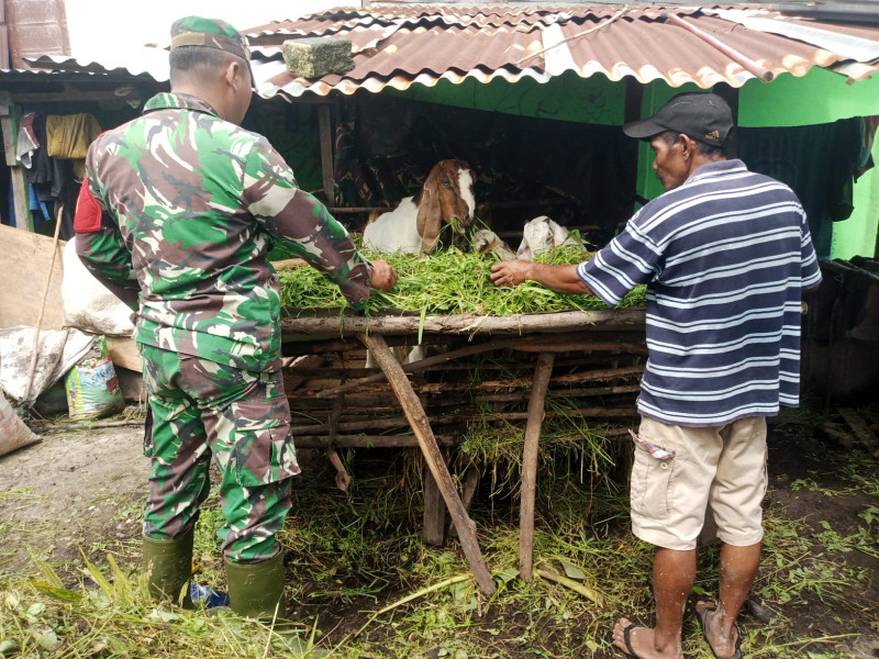 Serda Ahmad Junaidi Laksanakan Pengecekan Kesehatan Hewan Ternak
