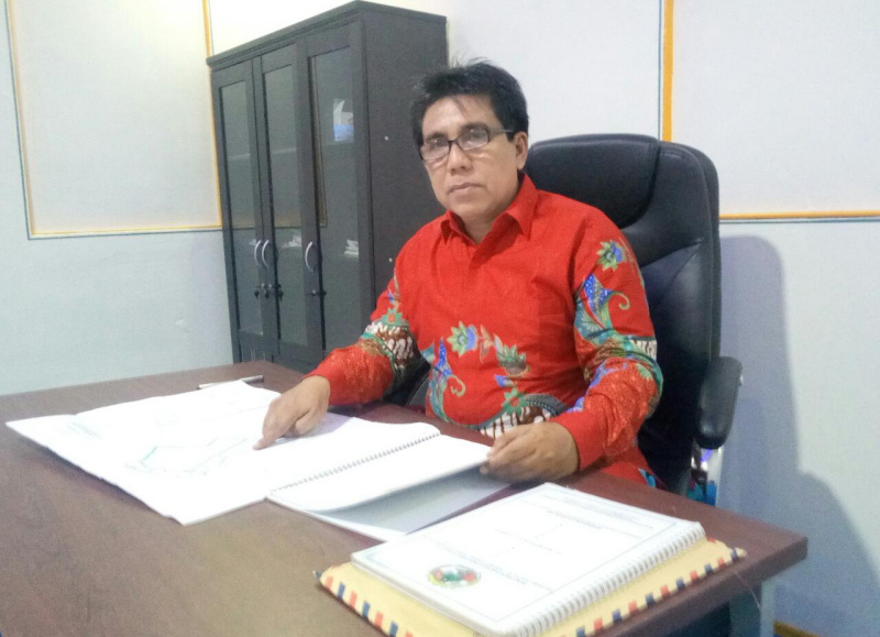 Ketua APINKARI Riau Sinyalir PT Diamont Raya Timber Melakukan Pelanggaran