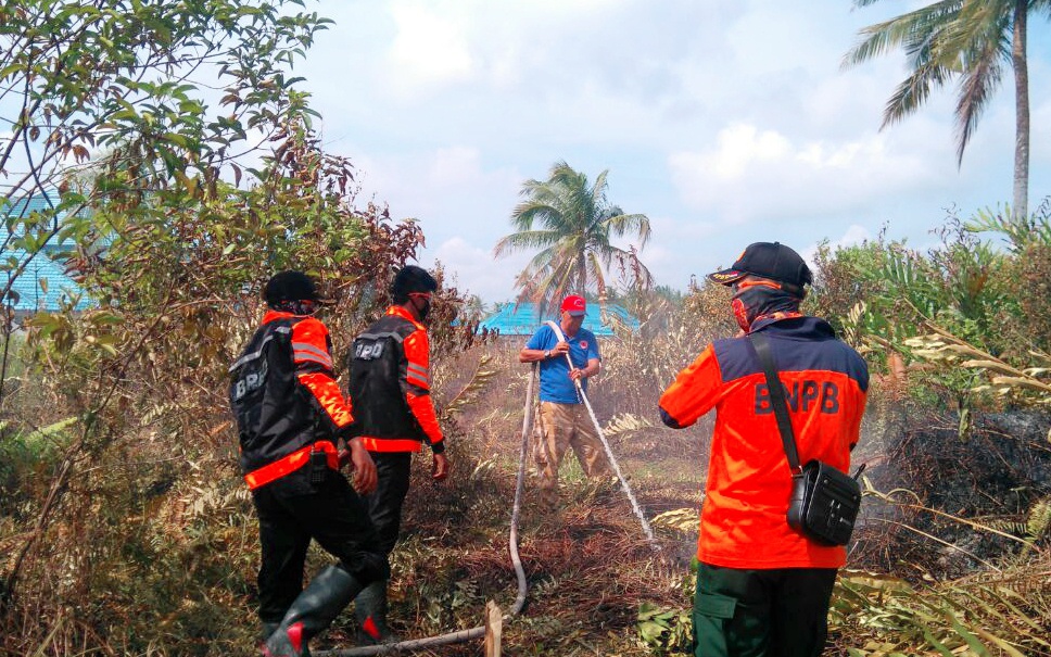 BPBD Inhil Sigap Padamkan Karhutla di Kateman