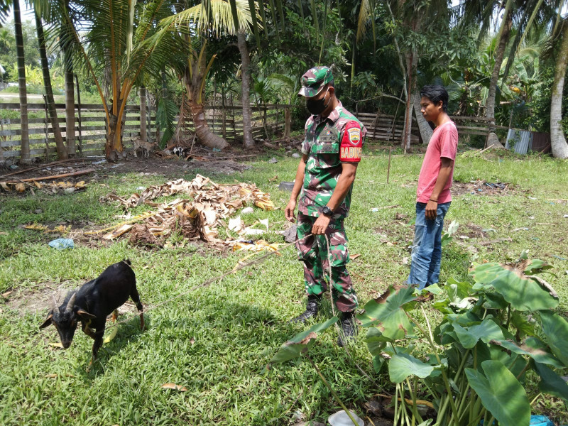 Kopda Ricko Cek Kesehatan Hewan Ternak
