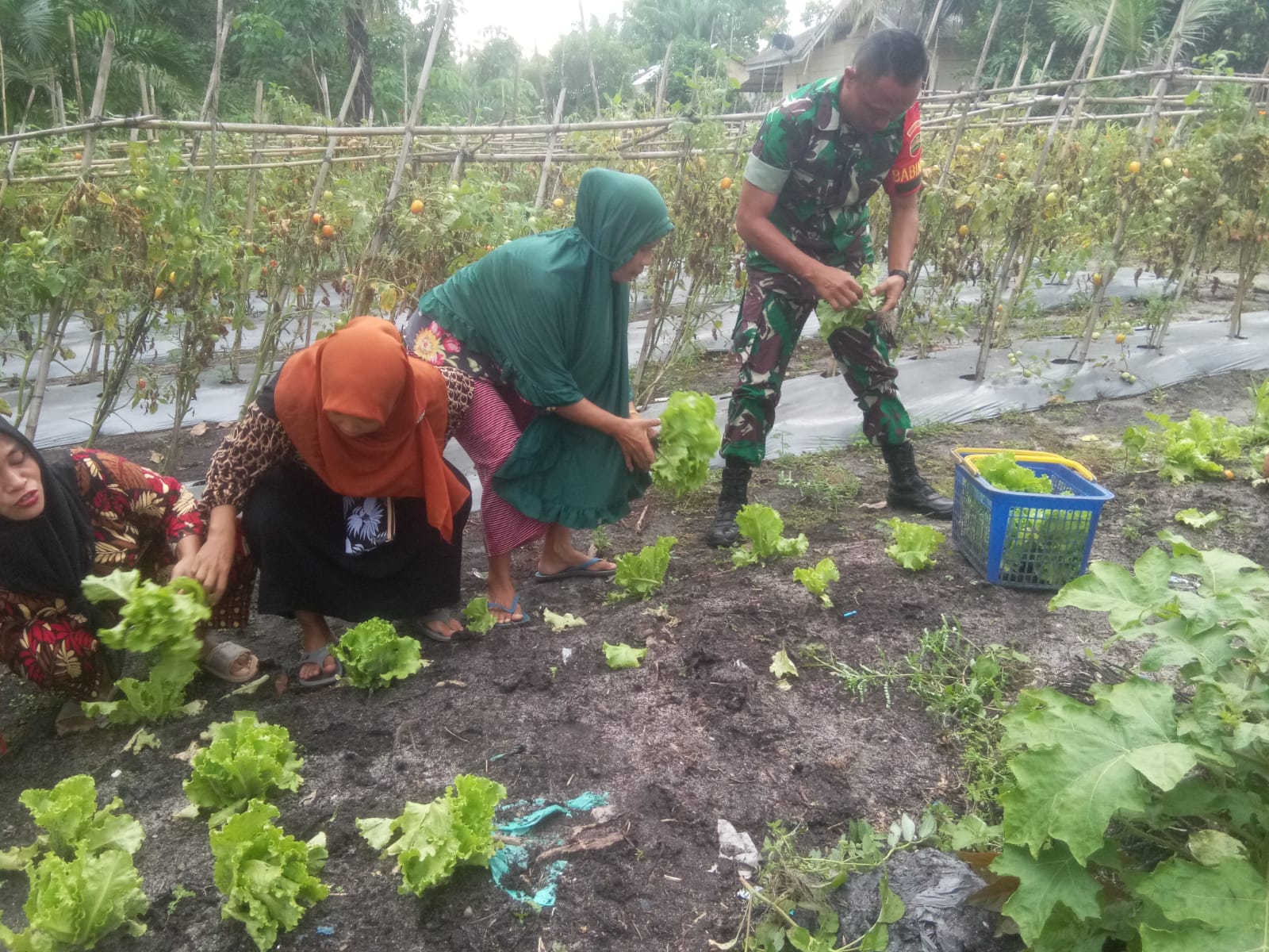 Sersan M Andi Melaksanakan Pendampingan Karya Nyata