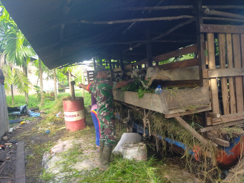 Cegah PMK, Sertu Arjuna Endar Laksanakan Sosialisasi