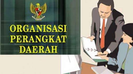Terkait Organisasi Perangkat Daerah Pemko Dumai Terima Hasil Verifikasi Pemrov Riau