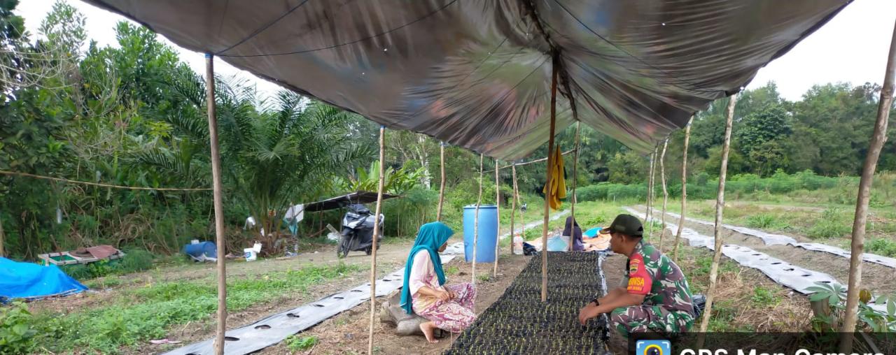 Serda Jum'at Desmanto Lakukan Pengontrolan Tanaman