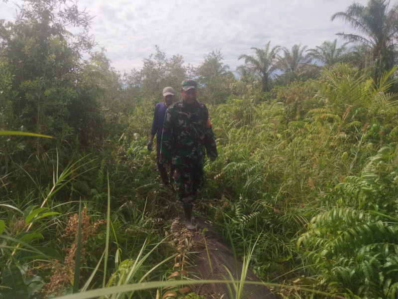 Serda SMP Sinaga Laksanakan Patroli Cegah Karhutla