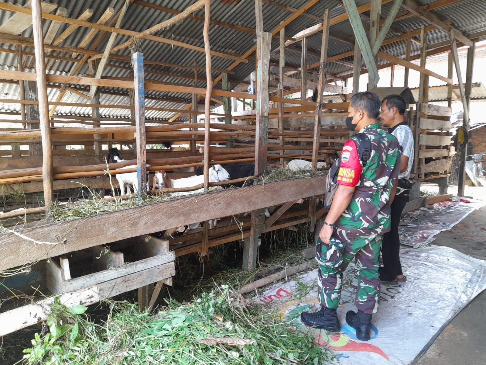 Pelda Sapi'i Laksanakan Sosialisasi di Wilayah Binaannya Cegah PMK