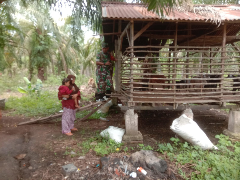 Babinsa Koramil PWK 04 Sertu Ramli Melaksanakan Giat Pencegahan PMK