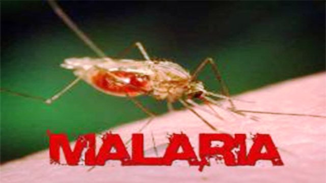 Masih Ada Kabupaten di Riau Yang Belum Eliminasi Malaria