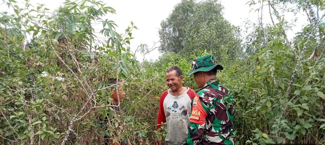 Sertu Heriyanto Patroli di Kawasan Hutan Bukit Datuk