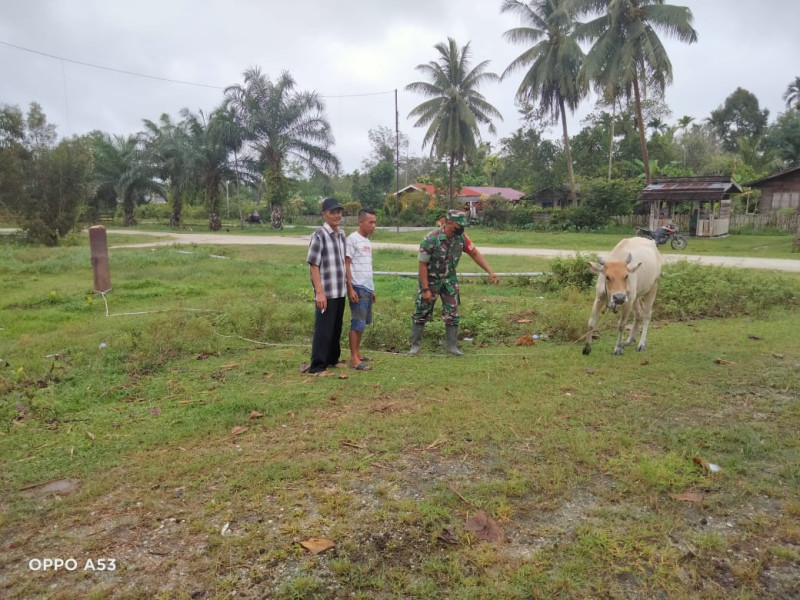 Babinsa Koramil 06 Merbau Serda Ansari Laksanakan Komsos Cegah PMK