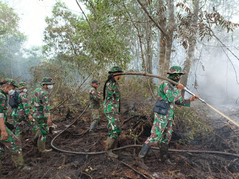 Koramil PWK 04 dan Denrudal 004 Berjibaku Padamkan Api