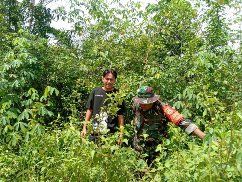 Babinsa Mekarsari Perketat Patroli Karhutla di Daerah Rawan Dumai Selatan