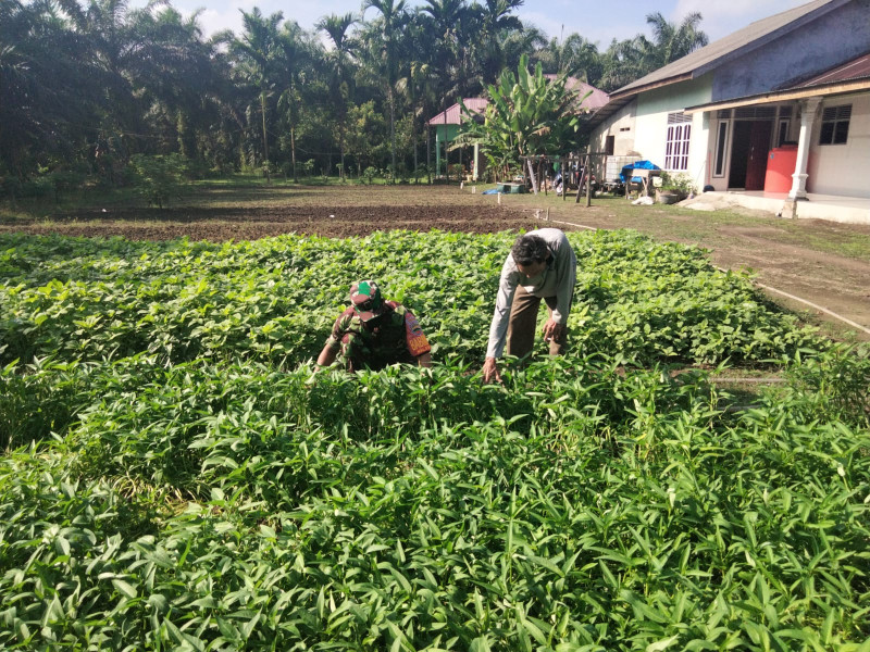 Pelaksanaan Pendampingan Karya Nyata Oleh Sertu Sugianto