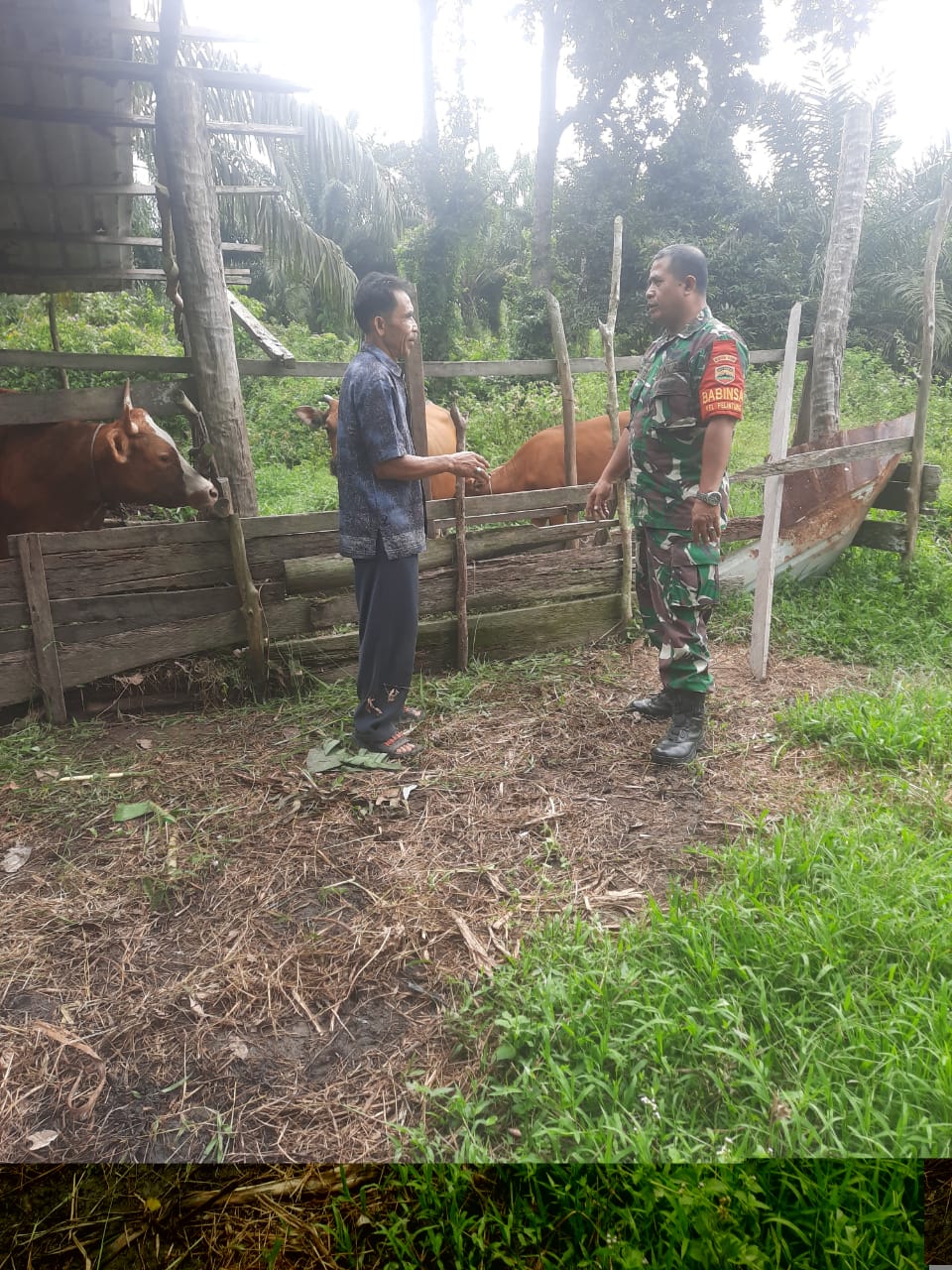 Pelda Hendrianto Ajak Masyarakat Jaga Hewan Ternaknya
