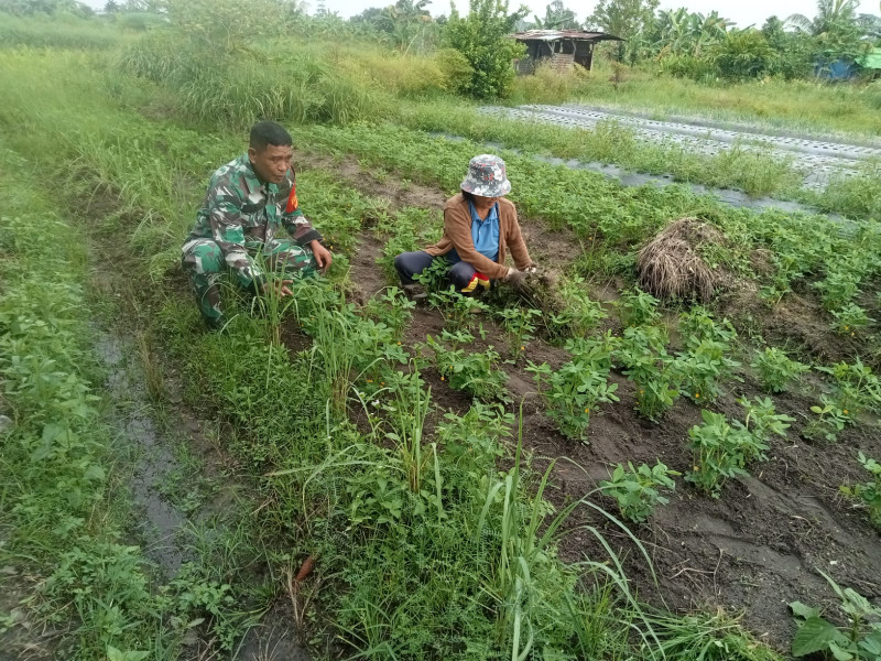 Serda Marwis Laksanakan Pendampingan Kepada Ambo