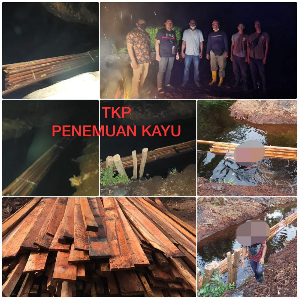 Terkait Ilegal Logging, Dua Warga Desa Lenggadai Hulu Diamankan Kepolisian Rohil