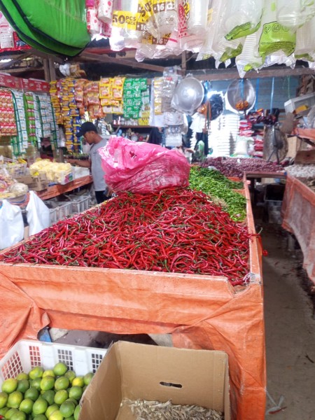 Ketiadaan Pasar Induk di Kecamatan Sungai Sembilan, Mendorong Warga Beralih ke Warung Rempah