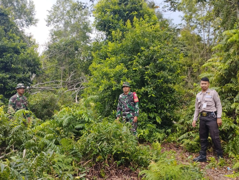 Monitoring Wilayah Cegah Karhutla Oleh Serka Eri Efrianto