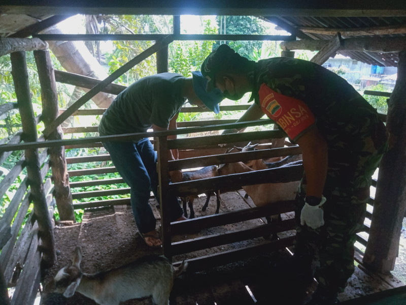 Giat Cegah PMK Oleh Serda K Sinaga