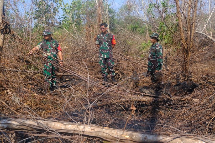 Dandim 0320/Dumai Akan Terus Menginstruksikan Jajarannya Untuk Mengantisipasi Karhutla