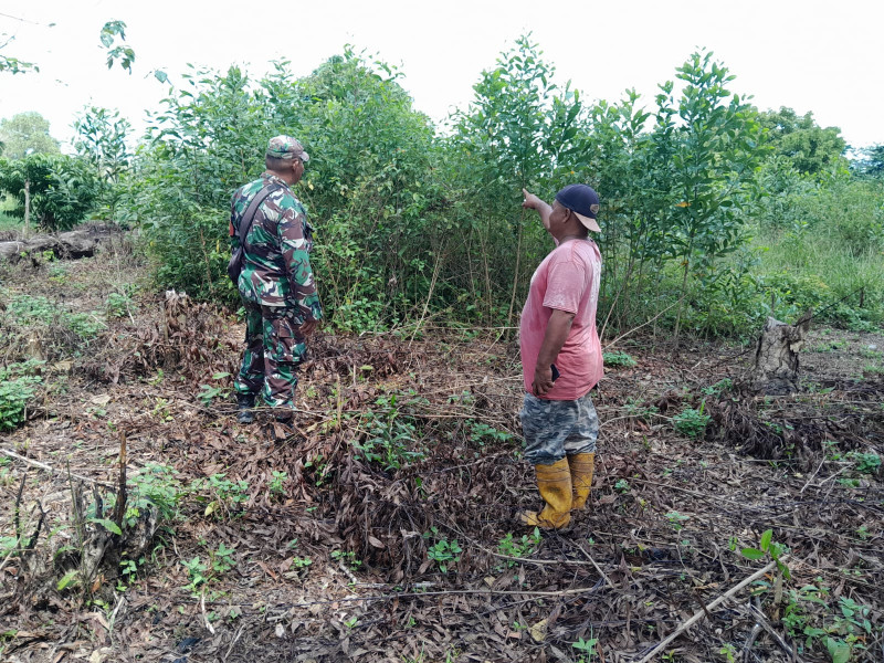 Serma F Purba Meninjau Lokasi di Wilayah Binaannya Untuk Mencegah Karhutla